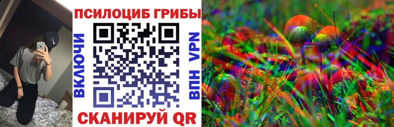 купить наркоту  нарко площадка телеграм  Псилоцибиновые грибы Psilocybe  Плёс 